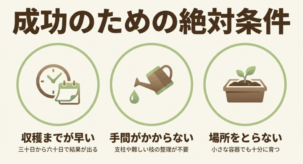 収穫までが早い、手間がかからない、場所を取らないという初心者向け野菜の3条件