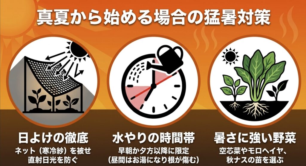真夏から始める場合の猛暑対策。寒冷紗による日よけ、早朝・夕方の水やり、空芯菜など暑さに強い野菜を選ぶポイントの図解